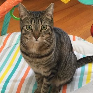 Meet your Posher, Kaitlyn